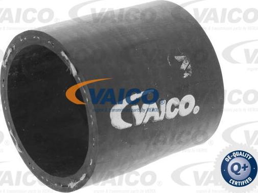 VAICO V30-0714 - Radiatora cauruļvads xparts.lv