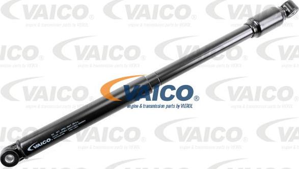 VAICO V30-1251 - Амортизатор рулевого управления xparts.lv