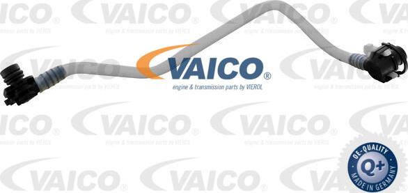 VAICO V30-3043 - Degvielas vads xparts.lv
