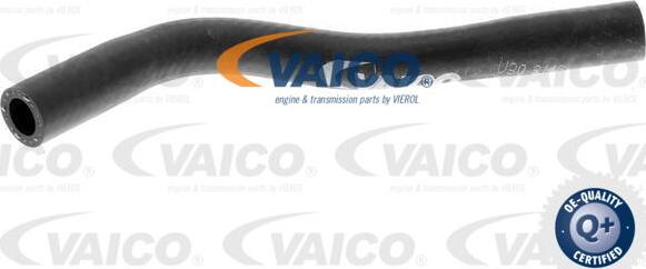 VAICO V30-3146 - Radiatora cauruļvads xparts.lv