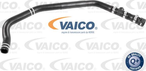 VAICO V24-0849 - Radiatora cauruļvads xparts.lv