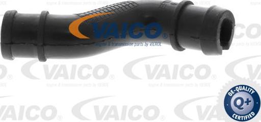 VAICO V24-1293 - Hose, crankcase breather xparts.lv