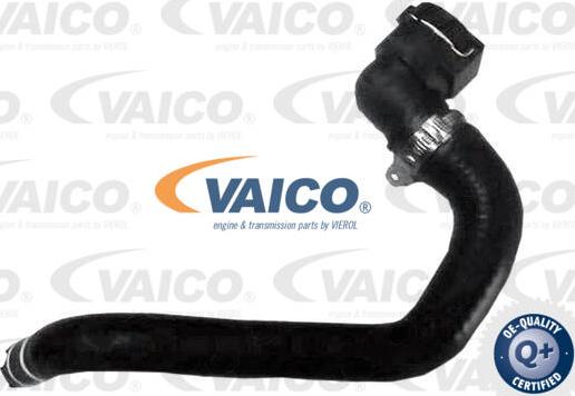 VAICO V24-1279 - Шланг радиатора xparts.lv