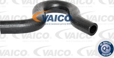 VAICO V25-2285 - Hydraulic Hose, steering system xparts.lv