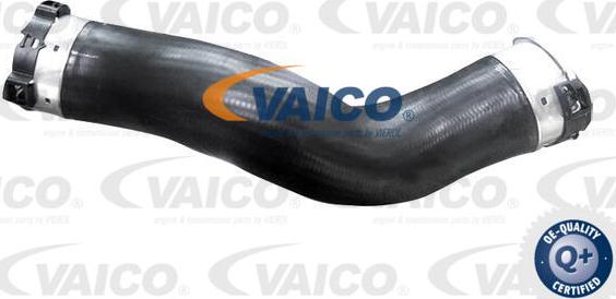 VAICO V20-4361 - Charger Intake Air Hose xparts.lv