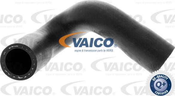 VAICO V20-1347 - Radiatora cauruļvads xparts.lv