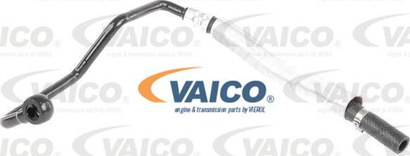 VAICO V20-1735 - Hidraulinė žarna, vairo sistema xparts.lv