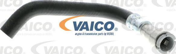 VAICO V20-1725 - Hydraulic Hose, steering system xparts.lv