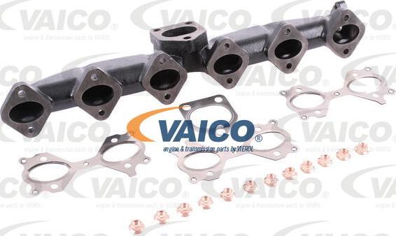 VAICO V20-3464 - Manifold, exhaust system xparts.lv