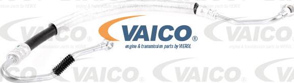 VAICO V20-3241 - Hidrauliskā šļūtene, Stūres iekārta xparts.lv