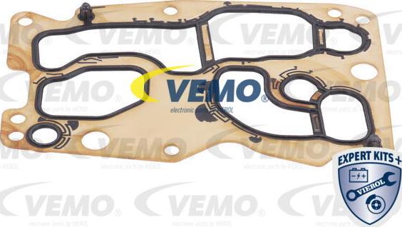 Vemo V20-60-1567 - Масляный радиатор, автоматическая коробка передач xparts.lv