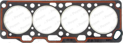 Wilmink Group WG1090171 - Gasket, cylinder head xparts.lv