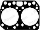 Wilmink Group WG1178586 - Gasket, cylinder head xparts.lv