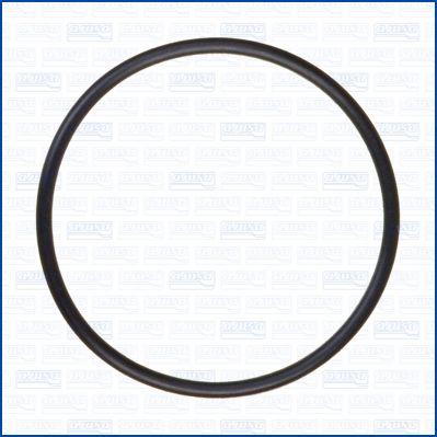 Wilmink Group WG2081061 - Gasket, charger xparts.lv