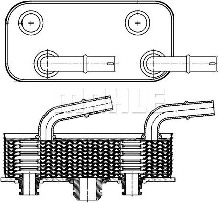 Wilmink Group WG2181127 - Eļļas radiators, Automātiskā pārnesumkārba xparts.lv