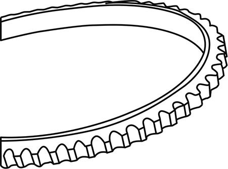WXQP 310587 - Клиновой ремень, поперечные рёбра xparts.lv